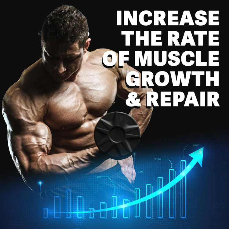 Applied Nutrition High Calorie Gainer 6kg