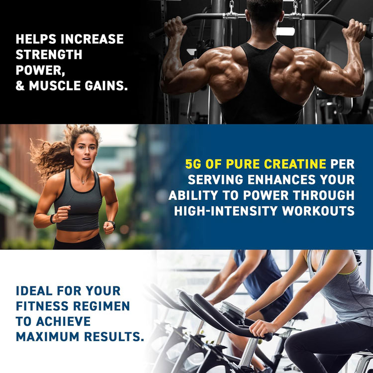 applied nutrition creatine monohydrate micronized