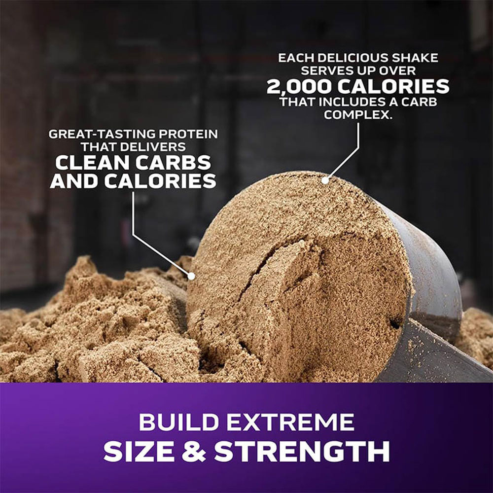 گینر مس تک اکستریم 2000 ماسل تک