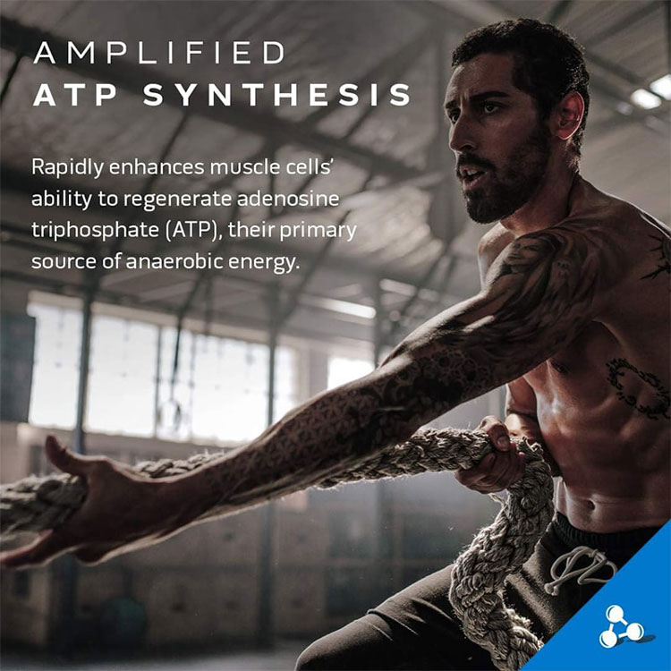 قیمت کراتین سل تک کرکتور ماسل تک